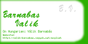 barnabas valik business card