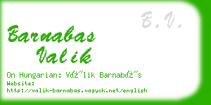 barnabas valik business card